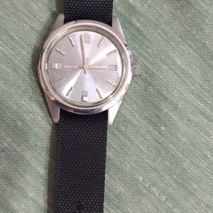 Vintage Citizen New Master sky blue