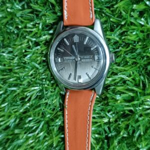 Vintage Citizen New Master day and night