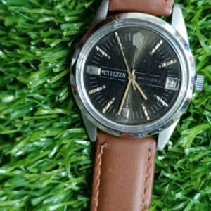 Vintage Citizen New Master grey