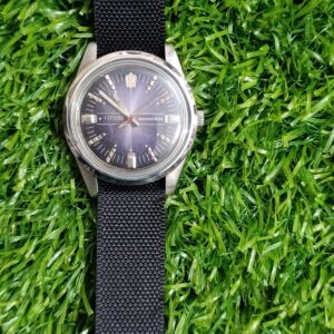 Vintage Citizen New Master blue